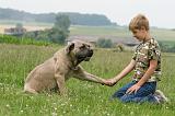 ENFANT ET CHIEN 439